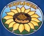 Sunflowers Iserlohn